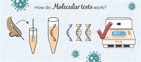 Molecular Tests 